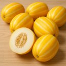 여주-1024 이미지