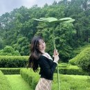 행복이가득한조경