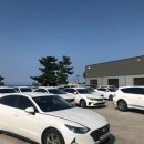 드림카모아 네이버블로그
