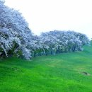 삼화농장 이미지