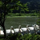 송산유원지 이미지