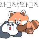 공릉동멸치국수 이미지