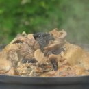 힐링쉼터민박 이미지