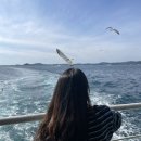 우영팟민박 | 211018-211019 | 친환경 우도여행 | 청년원정대