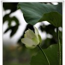 무척산관광농원 이미지