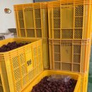 한림농원 이미지