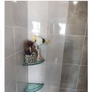 노형초등학교 이미지