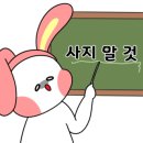 어른이 읽는 그림책 이미지