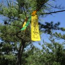 옥계2공단로2-30 이미지