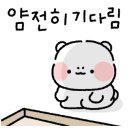 삼성사진관 - 유성구 동서대로 125 | 삼성사진관