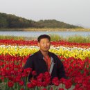 이동마을 이미지