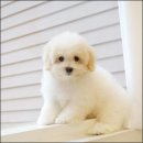 유어라운지 이미지