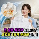 5163 | 옷 얼룩 지우는 방법 총정리(초기·중기·후기 순서대로) ✅