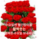 행복한하루 이미지