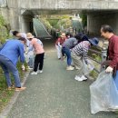 광교대학로 이미지