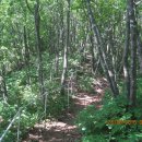 광덕1로6 이미지