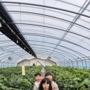 에이스태권도장 이미지