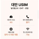 유심당 | 대만 이심 eSIM 데이터 무제한 말톡 유심 추천 대만 자유여행 후기