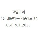 고달구이