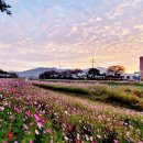 나주실내수영장 이미지