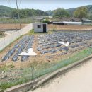 주공1번지공인중개사사무소 이미지