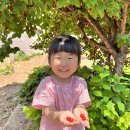 새나래유치원 이미지