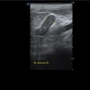 학익동물병원 이미지