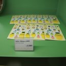 제주부영리조트 이미지