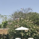 항동시장 이미지