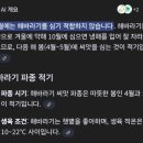 화분인간 | 영화도 보고 화분도 키우고🌻 홍대 메가박스 &lt;어쩌면 해피엔딩&gt; &amp; 화분 특전 후기