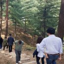 한국산림복지진흥원하늘숲추모원 이미지