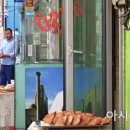 정온여관 이미지