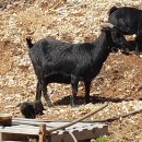 따스한봄날 이미지