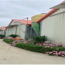 신규농장 이미지