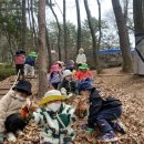 옥림 유아숲체험원 Daum카페