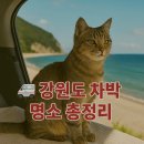 🚐 강원도 차박 명소 총정리｜초보자부터 감성 뷰맛집까지