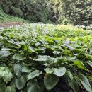 과천지식정보타운공인중개사사무소 | 동편마을에서 과천지식정보타운까지 걸어서 출퇴근 10분