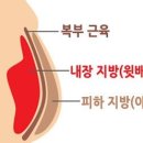 백**수(주) 이미지