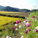 은빛여울 이미지