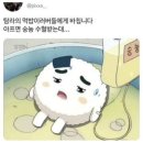 청담황토한옥 이미지