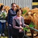 만희농장 이미지