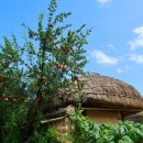 문화유산한옥 이미지