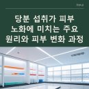당분 섭취가 피부 노화에 미치는 영향과 관리 시 고려할 점