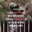 판다 - 미추홀구 독배로462번길 55 | 판다