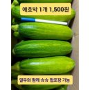 싱싱한 열무 주문 도와주세요. 1박스당 3.5키로 이상 13,000원/무료배송 .. 땅두릅,애호박 합포장 가능 이미지