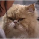 본미미 민박 이미지