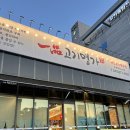 충북혁신도시 고기맛집 일품고기명가 회식장소 고기집 추천 솔직후기