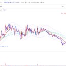 현대그린텍 이미지