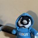 코지독하우스 | 아이 전망대, 록스마켓(악어,캥거루 꼬치), 더 티 코지 카페, 시드니로열보타닉가든, 미세스 맥쿼리...