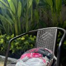 짱구세탁소 이미지